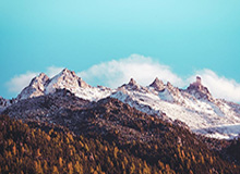 全能签使用方法与教程